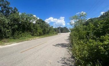 VENTA DE TERRENO EN LA RUTA DE LOS CENOTES
