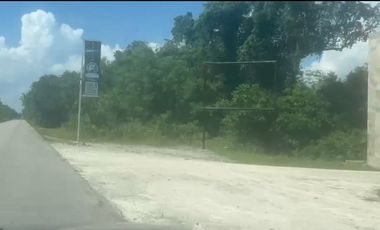 VENTA DE TERRENO EN LA RUTA DE LOS CENOTES