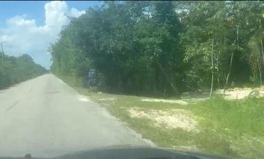 VENTA DE TERRENO EN LA RUTA DE LOS CENOTES