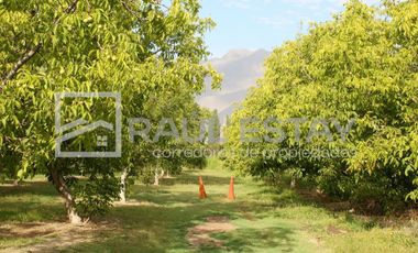 Vendemos terreno con piscina y jardines en Curimón