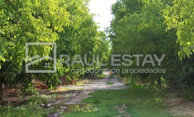 Vendemos terreno con piscina y jardines en Curimón