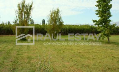 Vendemos terreno con piscina y jardines en Curimón