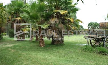Vendemos terreno con piscina y jardines en Curimón
