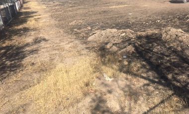 TERRENO EN RENTA EN AV. MIGUEL DE LA MADRID AGUASCALIENTES NORTE