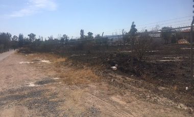 TERRENO EN RENTA EN AV. MIGUEL DE LA MADRID AGUASCALIENTES NORTE