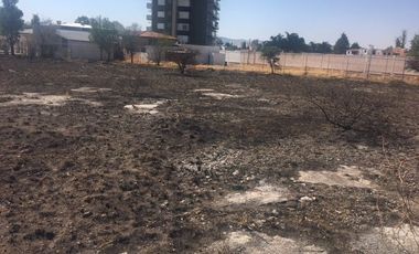TERRENO EN RENTA EN AV. MIGUEL DE LA MADRID AGUASCALIENTES NORTE