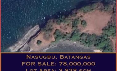 **one away**  Nasugbu, Batangas 3828sqm for sale