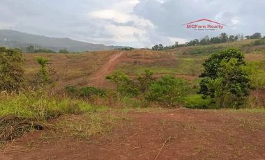 Residential Lot for Sale in San Mateo Rizal, Evergreen Estates