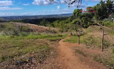 Residential Lot for Sale in San Mateo Rizal, Evergreen Estates