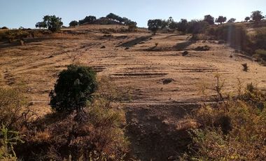 Venta terreno en Litueche