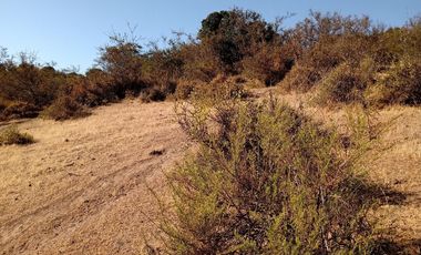 Venta terreno en Litueche