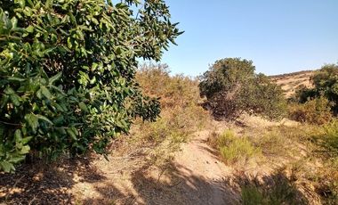 Venta terreno en Litueche