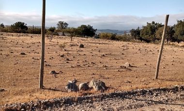 Venta terreno en Litueche