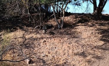 Venta terreno en Litueche