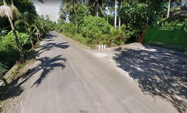 Commercial Lot for Sale along Barangay Angalan Tugbok District Davao City