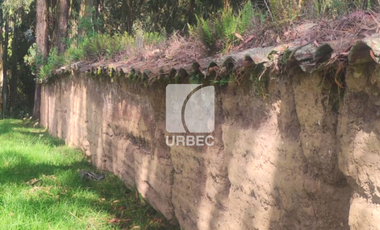 VENTA- Terreno de venta a 5 minutos del centro de Guaranda sector en pleno crecimiento,óptimo para instituciones financieras,empresaso desarrollos inm