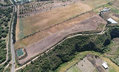 VENTA PROPIEDAD DE 3 HECTÁREAS COTACACHI IMANTAG