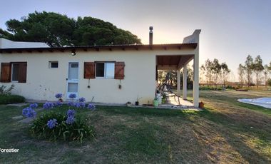 UNICA QUINTA DE 3 HAS SALDUNGARAY