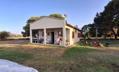 UNICA QUINTA DE 3 HAS SALDUNGARAY