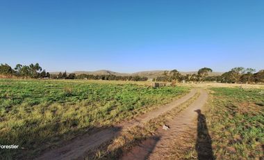 UNICA QUINTA DE 3 HAS SALDUNGARAY