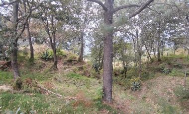 Casa campestre en venta con huerta de limón