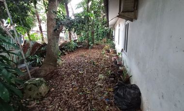 Rumah Lama Masuk Gang Area Jalan Pinang, 150 Meter Ke Pinang Raya
