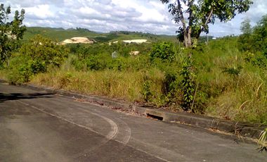 468 Residential lot for sale in El Monte Verde Consolacion Cebu