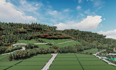 Venta de Lotes  1000M2 Urbanizados en Mindo.