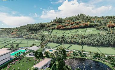 Venta de Lotes  1000M2 Urbanizados en Mindo.