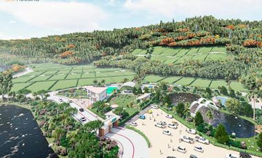 Venta de Lotes  1000M2 Urbanizados en Mindo.