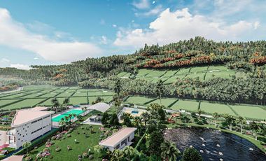 Venta de Lotes  1000M2 Urbanizados en Mindo.