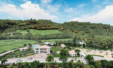 Venta de Lotes  1000M2 Urbanizados en Mindo.