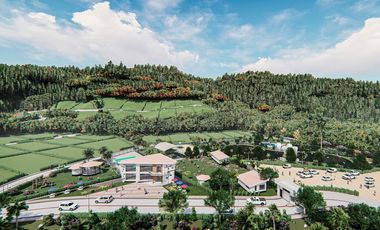 Venta de Lotes  1000M2 Urbanizados en Mindo.