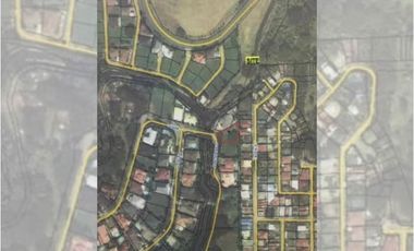 VACANT LOT FOR SALE IN AYALA ALABANG VILLAGE
