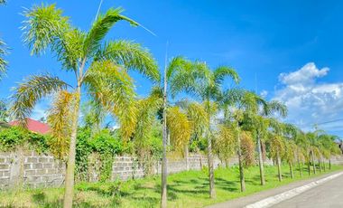 Ready For Occupancy Lofted Rowhouse For Sale @ Sta. Monica Homes San Pablo Near SPC Medical Center