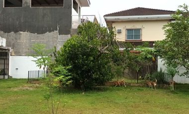 5BR Big House with big yard for sale Mactan House 589 in Basak Lapu Lapu Cebu