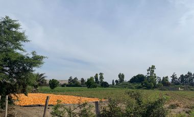 LINDO TERRENO.EN CARRETERA HUARAL AUCAYAMA