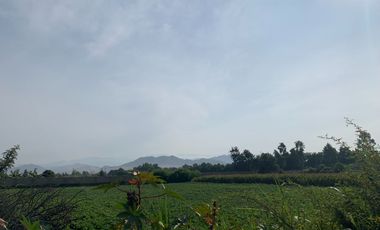 LINDO TERRENO.EN CARRETERA HUARAL AUCAYAMA