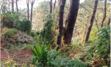 VACANT LOT FOR SALE IN LOAKAN PROPER, BAGUIO CITY