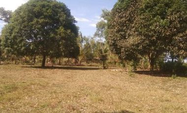 Guimaras Farm Land For Sale