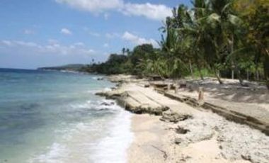 2,550 sqm BEACH LOT FOR SALE in Santander Cebu