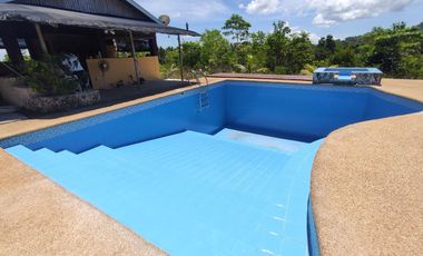 House and Lot with Pool for Sale