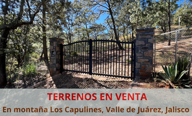 TERRENOS EN LA MONTAÑA 