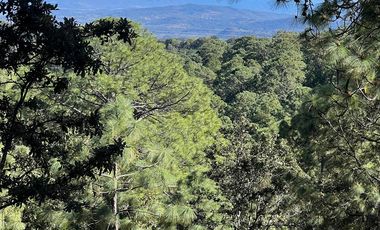 TERRENOS EN LA MONTAÑA 
