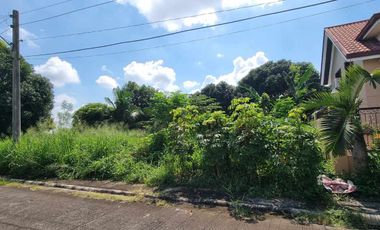 195 SQM LOT FOR SALE IN BUENAVISTA SUBDIVISION MABALACAT PAMPANGA