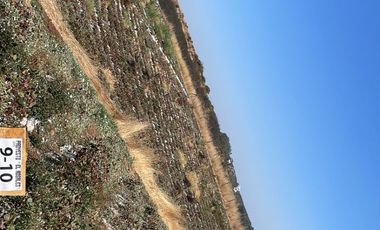 Parcela con luz y agua en litueche !!!