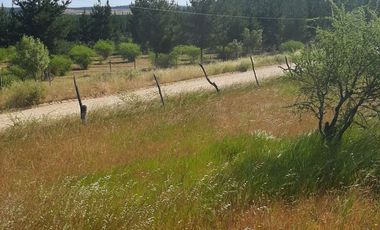 Venta de parcela en San Javier, Septima Región  5000m2