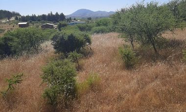 Venta de parcela en San Javier, Septima Región  5000m2