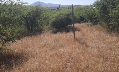 Venta de parcela en San Javier, Septima Región  5000m2