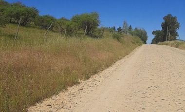 Venta de parcela en San Javier, Septima Región  5000m2